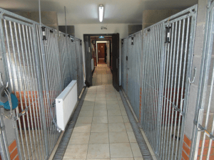 MuddyDugz Boarding Kennels